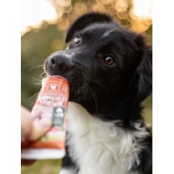 Pâté en tube pour chien avec 87% de viande de Volaille-Lot de 4 tubes (économique)