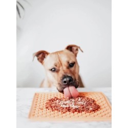 Topping à saupoudrer pour Chien - FIlet de Poulet 🐓 - Mr Bones