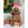 Balle en peluche pour chien - Renne de Noël 🦌 - HugSmart