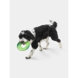 Frisbee Eco Friendly pour chien - Sailz - West Paw - Vert