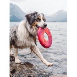 Frisbee Eco Friendly pour chien - Sailz - West Paw - Vert