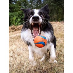 Lot de 2 balles en caoutchouc pour chien - Chuck It! - Taille M