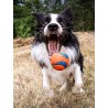 Lot de 2 balles en caoutchouc pour chien - Chuck It! - Taille M