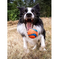 Lanceur de balles Fetch & Fold pour chien - Chuck It