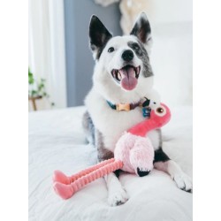 Jouet en peluche pour chien - Fetching Flock - Flamant rose - Pet PLAY