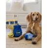 Jouet en peluche pour chien - Paw-nukkah 🕎 Gelt Coins - Pet PLAY