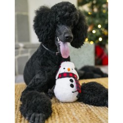 Jouet en peluche pour chien - Bonhomme de Neige ⛄ - Pet PLAY