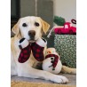 Jouet en peluche pour chien - Gants d'hiver 🧤 - Home for the Holidays Pet PLAY