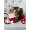 Jouet pour chat en laine naturelle - Souris Rouge