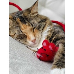 Jouet pour chat en laine naturelle - Souris Rouge