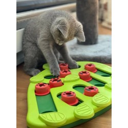 Jouet interactif / puzzle pour Chat - Buggin' Out - Niveau 2