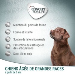 Concept for Life Large Senior pour chien,12 kg