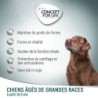 Concept for Life Large Senior pour chien,12 kg