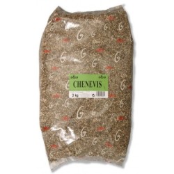 Chènevis pour oiseaux du ciel 3kg + 1kg OFFERT